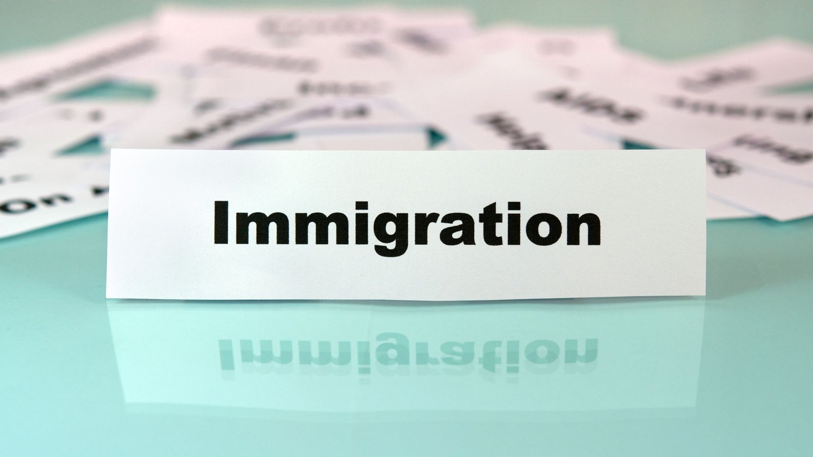 Expert Immigration Legal Services by Neda Zaman in Encino, California