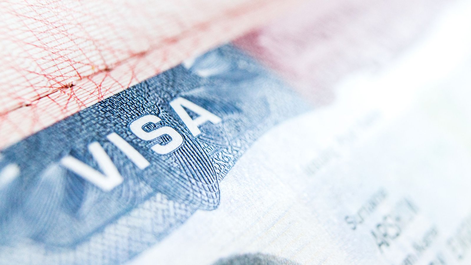 Your Visa and Immigration Solution Starts at Neda Zaman Law Firm